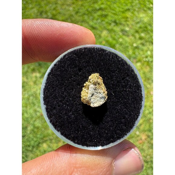 Gold on Quartz - California Native Gold Crystal -  0.65 grams - Picture 3 of 5